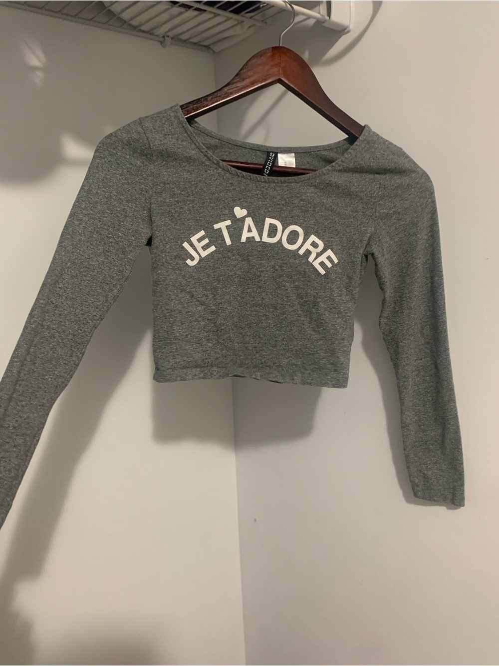 H&M Gray Cropped Long Sleeve Top with White Text